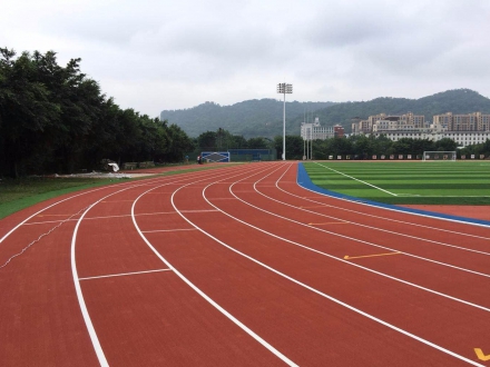 PU跑道及运动场地坪